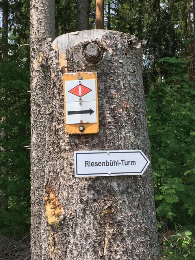 Schwarzwaldglueck Lejlighed Schluchsee Eksteriør billede