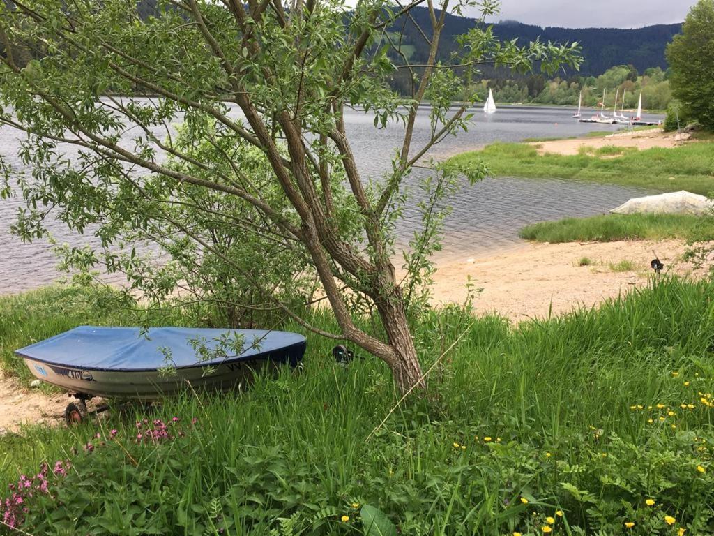 Schwarzwaldglueck Lejlighed Schluchsee Eksteriør billede
