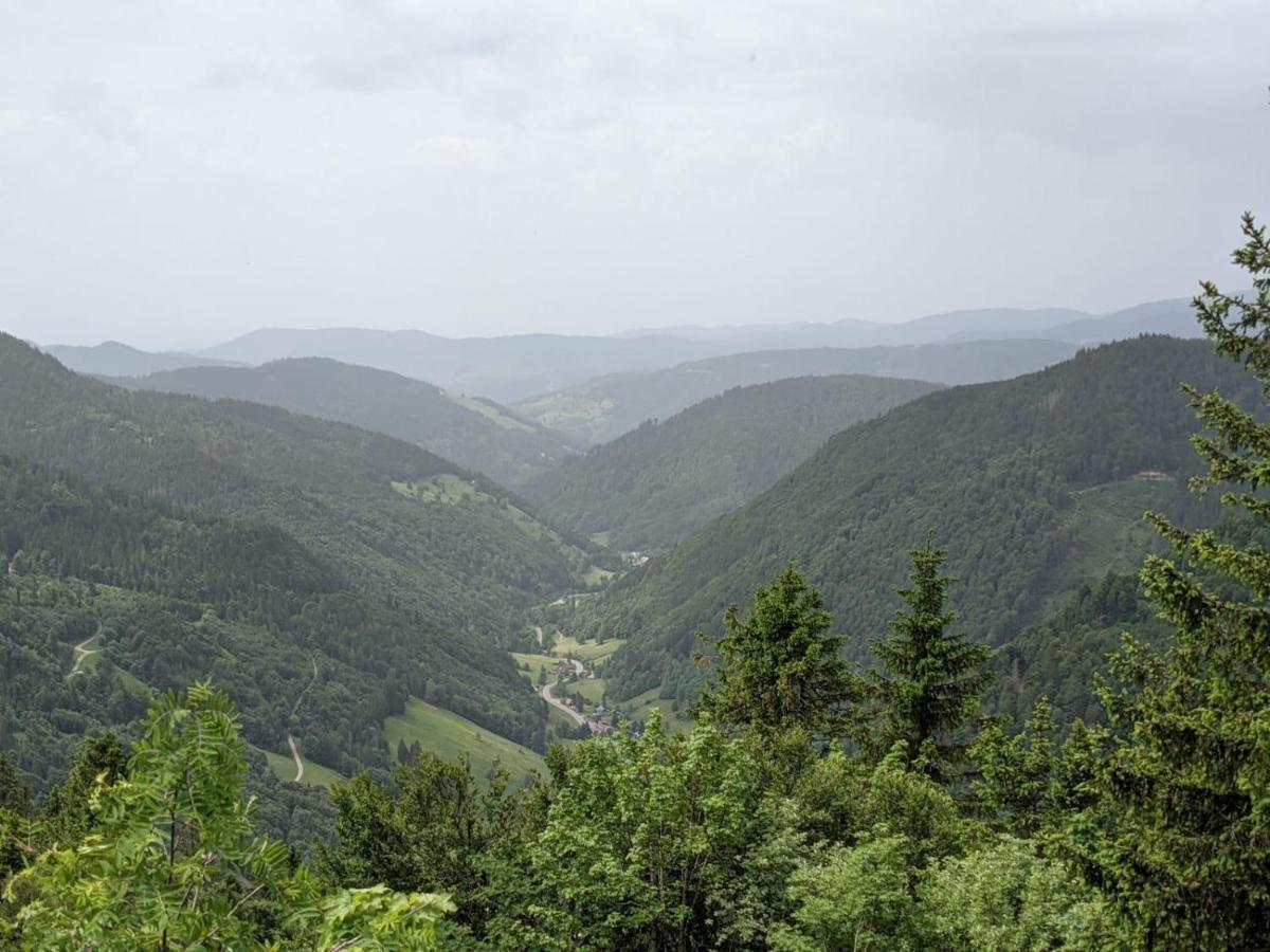 Schwarzwaldglueck Lejlighed Schluchsee Eksteriør billede